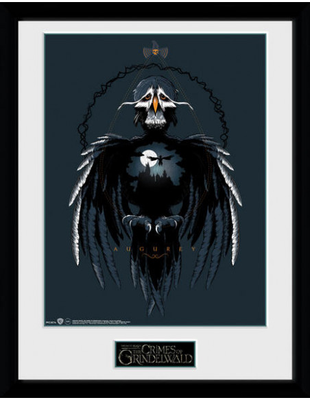 Fantastic Beasts 2: Augurey (Stampa In Cornice 30x40cm)