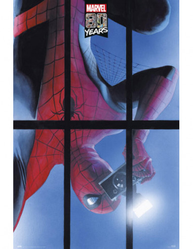 Marvel: Spiderman 80 Years (Maxi...