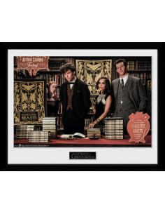 Fantastic Beasts 2: Book Signing (Stampa In Cornice 30x40cm)