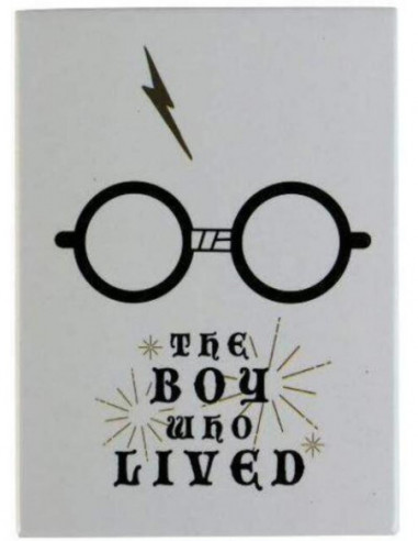 Harry Potter: Boy Who Lived -Magnet...