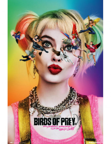 Birds Of Prey: Dazed And Confused Poster