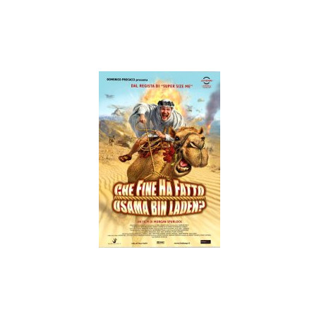 Che Fine Ha Fatto Osama Bin Laden ?