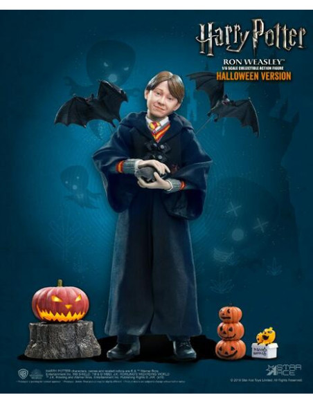 Harry Potter: Ron Weasley Child Halloween Version 1:6 Scale Figure