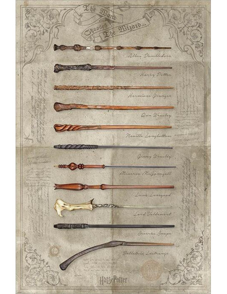 Harry Potter: Pyramid - The Wand Chooses The Wizard) Maxi (Poster Maxi 61X91,5 Cm)