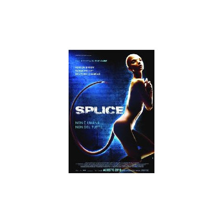 Splice