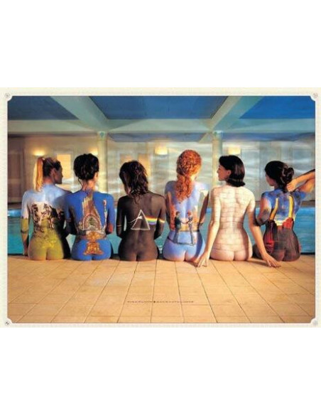 Pink Floyd: Pink Floyd (Stampa Su Tela 60X80 Cm)