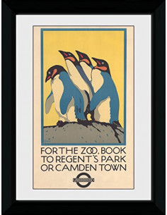 Transport For London: Zoo (30Mm Black) (Stampa In Cornice 50x70 Cm)