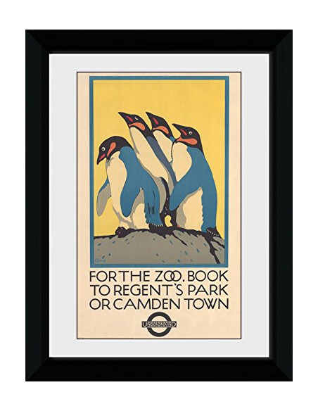 Transport For London: Zoo (30Mm Black) (Stampa In Cornice 50x70 Cm)