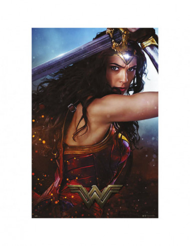 Wonder Woman: Sword-Dcorg (Maxi...
