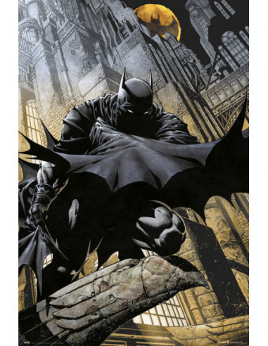 Dc Comics: Batman Gargoyle (Maxi...