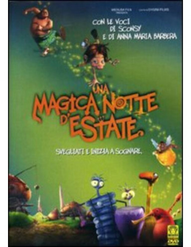 Magica Notte D'Estate (Una)