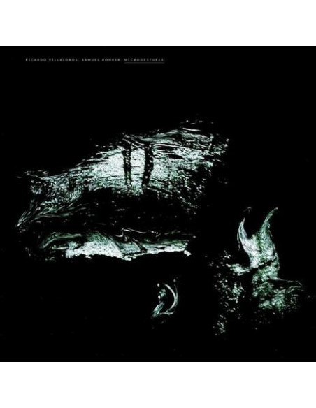 Villalobos Ricardo - Microgestures