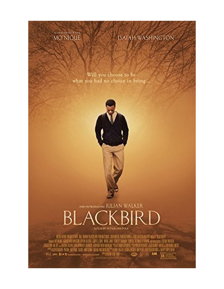Blackbird - Blackbird (Blu-ray)