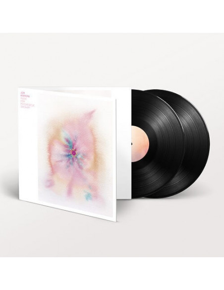 Hopkins Jon - Music For Psychedelic Therapy