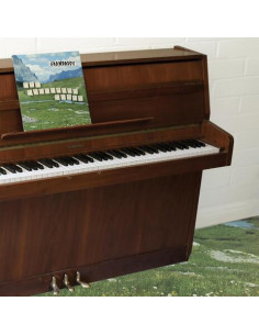 Grandaddy - The Sophtware Slump On A Wooden Piano (Vinyl Pink)