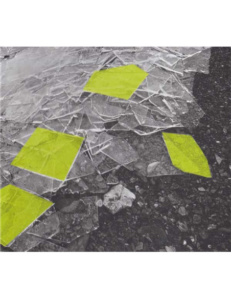 Winter Severity Index - Disgelo - (CD)