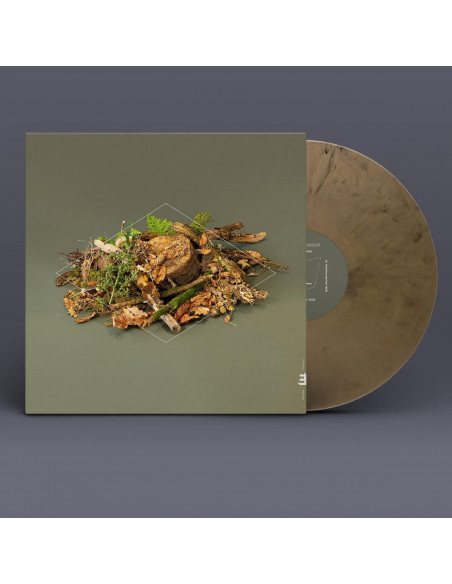 Mccreadie Fergus - Forest Floor
