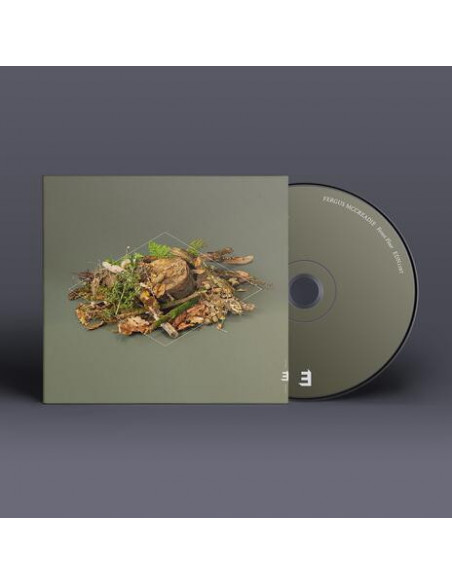 Mccreadie Fergus - Forest Floor - (CD)