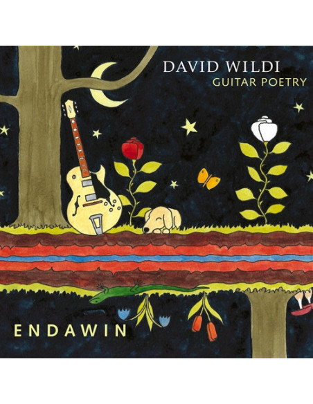 Wildi David - Endawin - (CD)