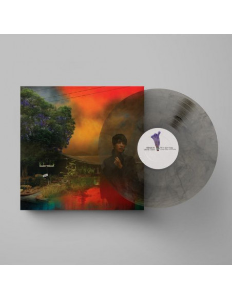Van Etten Sharon - We'Ve Been Going About This All Wrong (Smoke Marble Vinyl)