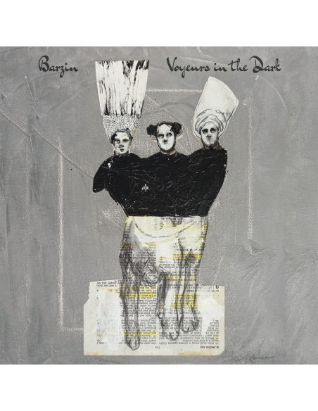 Barzin - Voyeurs In The Dark - (CD)
