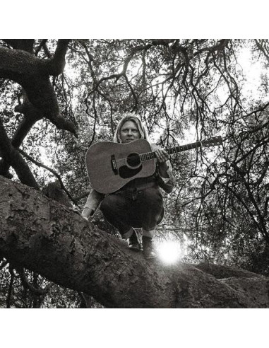 Ty Segall - Hello Hi - (CD)