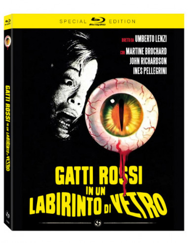Gatti Rossi In Un Labirinto Di Vetro...