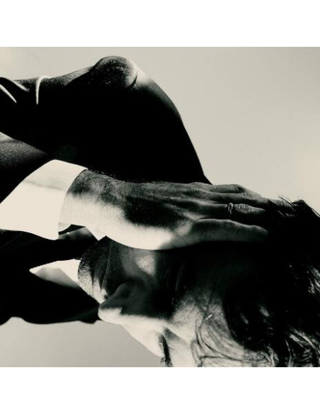 Bird Andrew - Inside Problems (Vinile Trasparente)