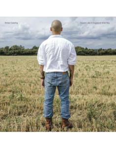 Golding Binker - Dream Like A Dogwood Wild Boy - (CD)