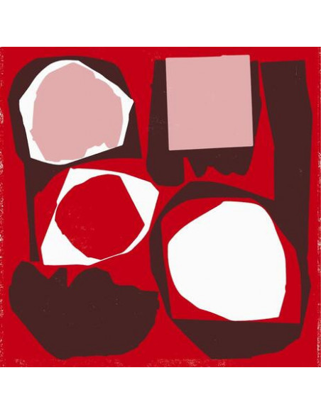 Compilation - Mr Bongo Record Club Vol.5 - (CD)