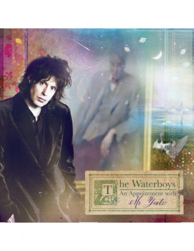 Waterboys The - An Appointment With...
