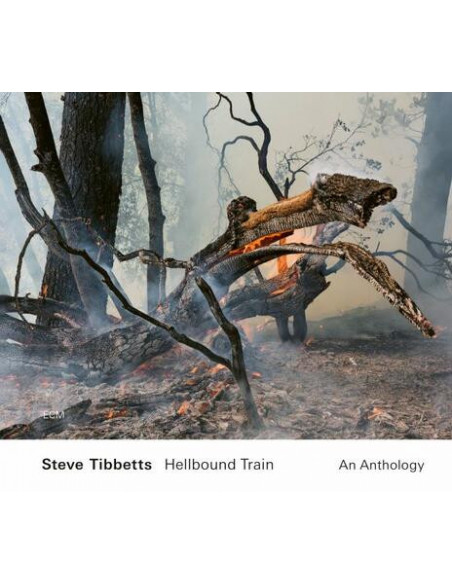 Tibbetts Steve - Hellbound Train - An Anthology - (CD)