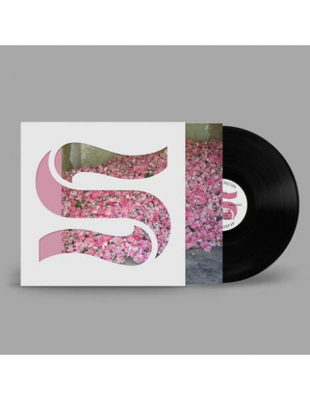 Braxe + Falcon - Step By Step Ep