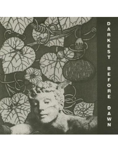 Dark Day - Darkest Before Dawn - (CD)