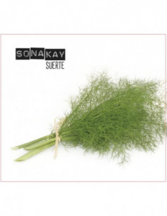 Sonakay - Suertw - (CD)