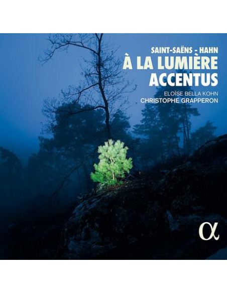 Saint-Saens Camille - A La Lumiere - (CD)