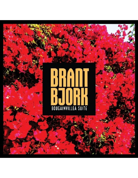 Bjork Brant - Bougainvillea Suite (Ltd Half-Half Black)