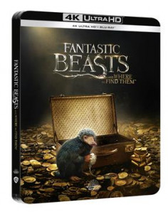 Animali Fantastici E Dove Trovarli (Steelbook) (4K Ultra Hd+Blu-Ray)