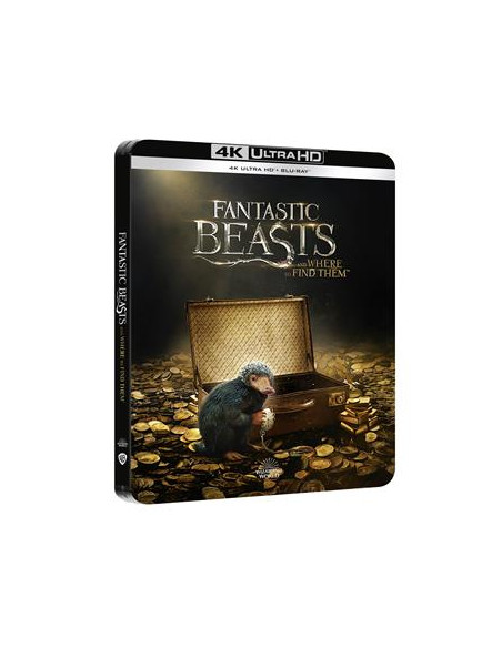 Animali Fantastici E Dove Trovarli (Steelbook) (4K Ultra Hd+Blu-Ray)