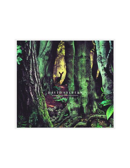 Sylvian David - Manafon