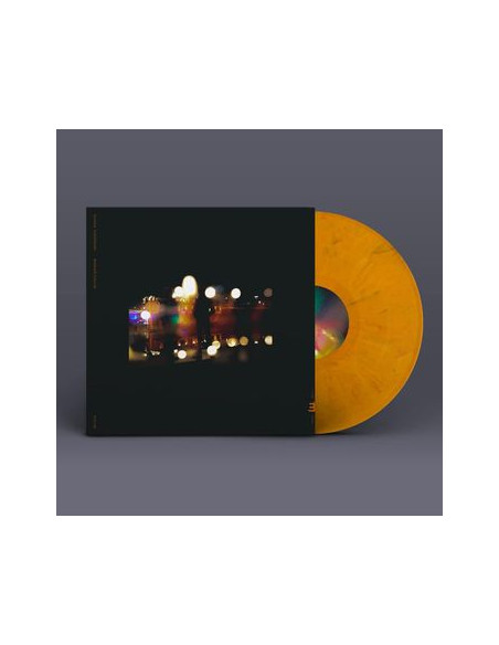 Vasandani, Sachal - Still Life (Lp)