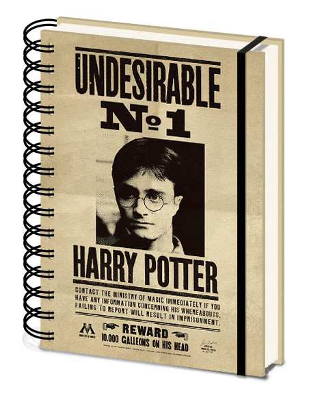 Harry Potter: Pyramid - Sirius & Harry 3D Cover (A5 Notebook / Quaderno)