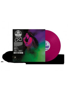 Suzi Analogue - Infinite Zonez