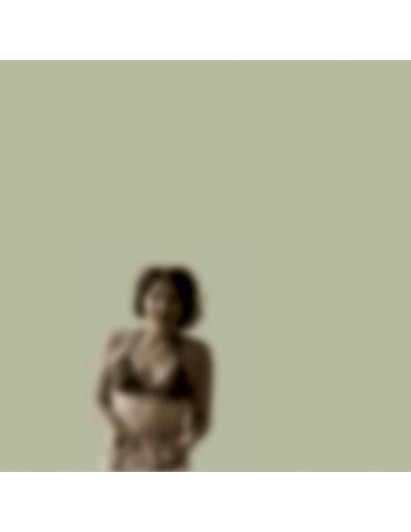 Angels Of Light - The Angels Of Light Sing Other People - (CD)