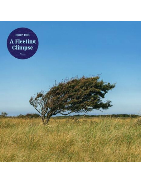 Riis Bjorn - A Fleeting Glimpse - (CD)