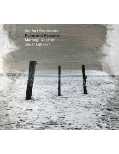 Brederode Wolfert, Matangi Quartet and Lijbaart Joost - Ruins And Remains - (CD)