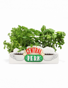 Friends: Half Moon Bay - Central Perk (Table Top Vase / Vaso Da Tavolo)