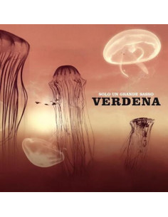 Verdena - Solo Un Grande Sasso