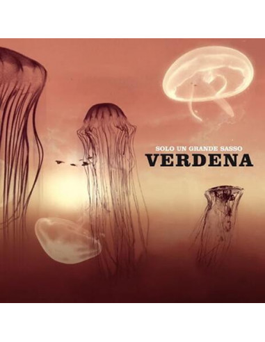 Verdena - Solo Un Grande Sasso