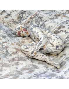 Watson Patrick - Better In The Shade - (CD)